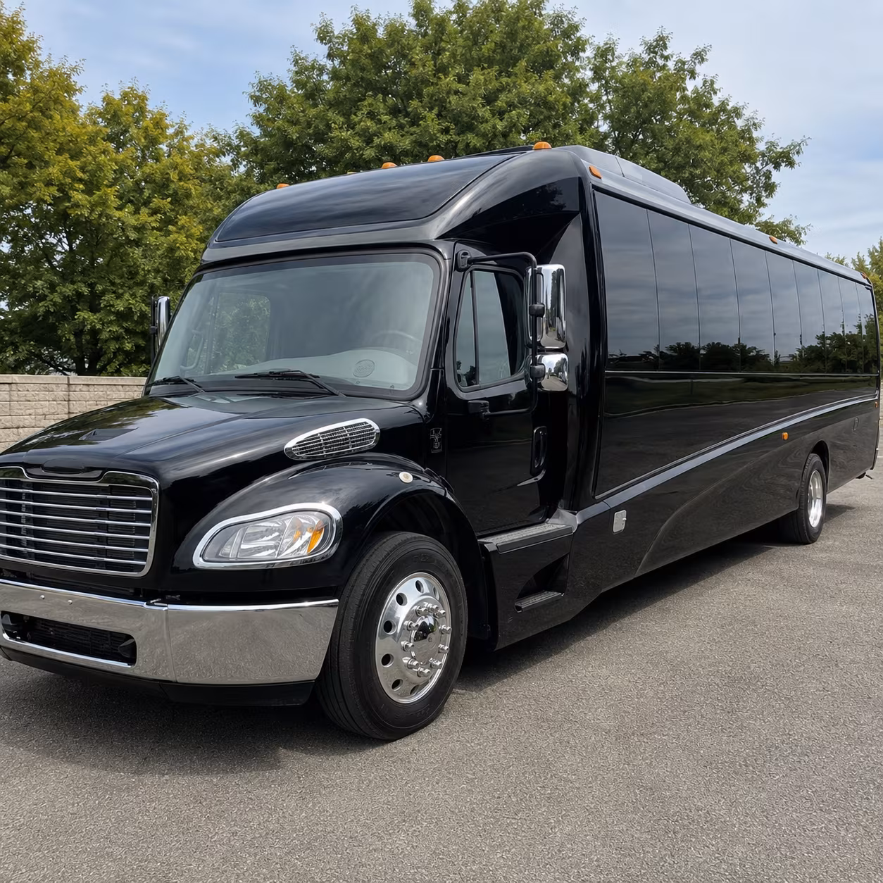 santa ana 15 passenger minibus