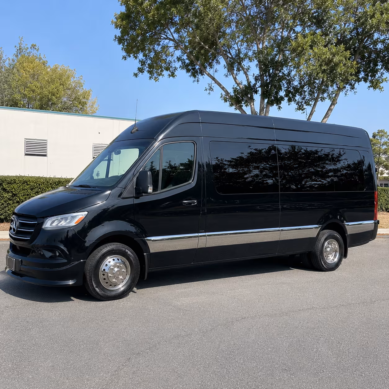santa ana sprinter van with driver